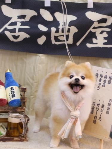 20240615モコくん